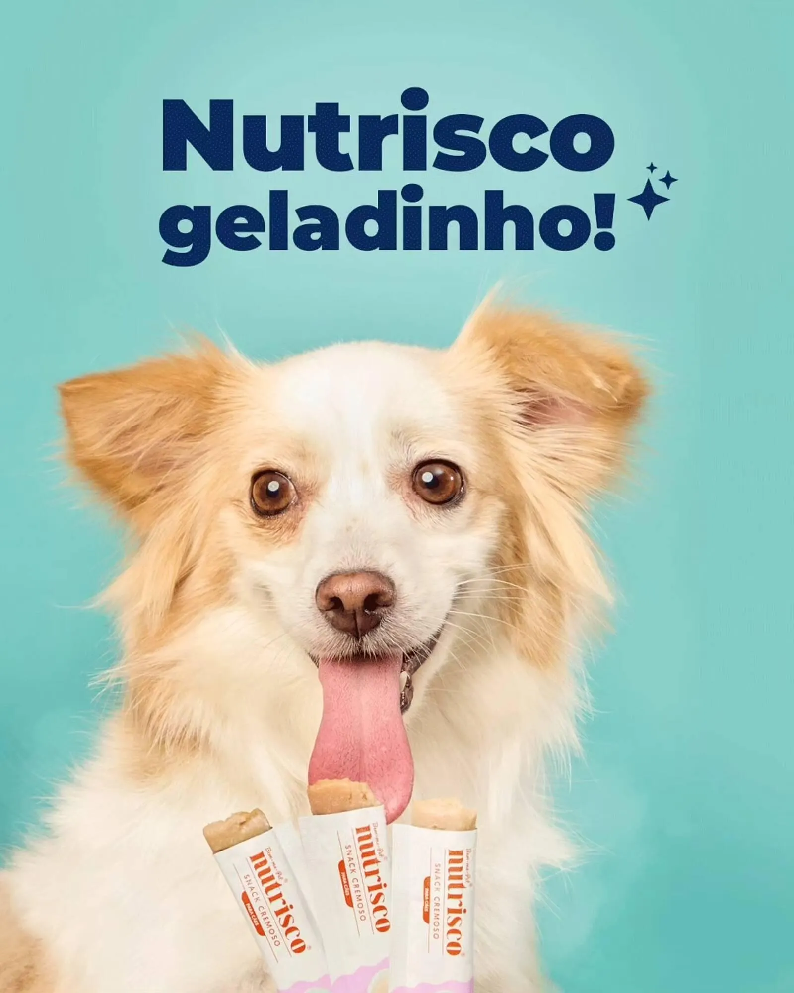 Encarte de Catálogo Cobasi 16 de janeiro até 20 de janeiro 2026 - Pagina 2