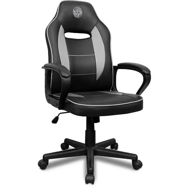Cadeira Gamer UP X13FBG, Ajuste de Altura, Encosto confortável, Preto e Cinza, XL-3319, Up - CX 1 UN