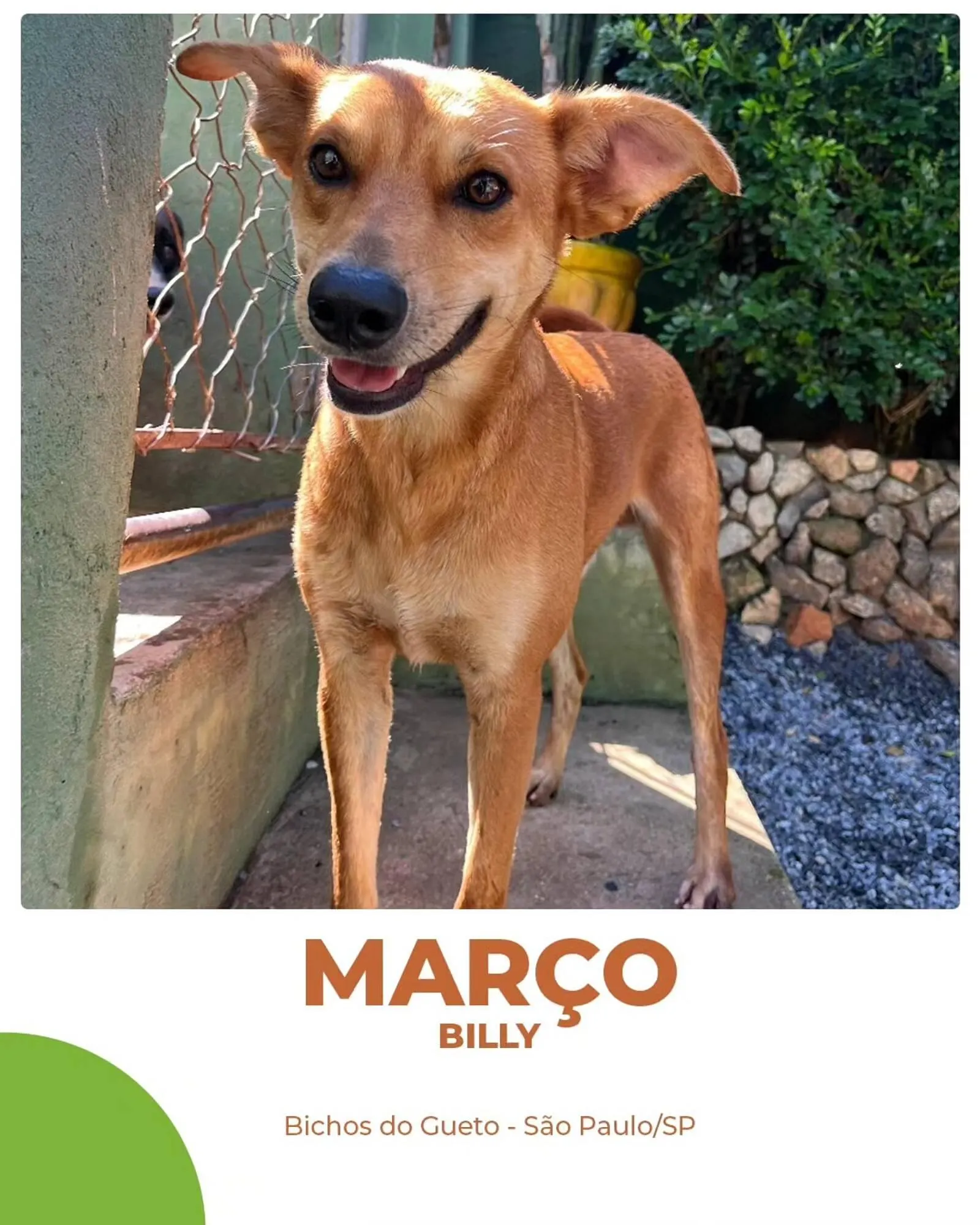 Encarte de Catálogo Cobasi 2 de julho até 10 de julho 2025 - Pagina 4