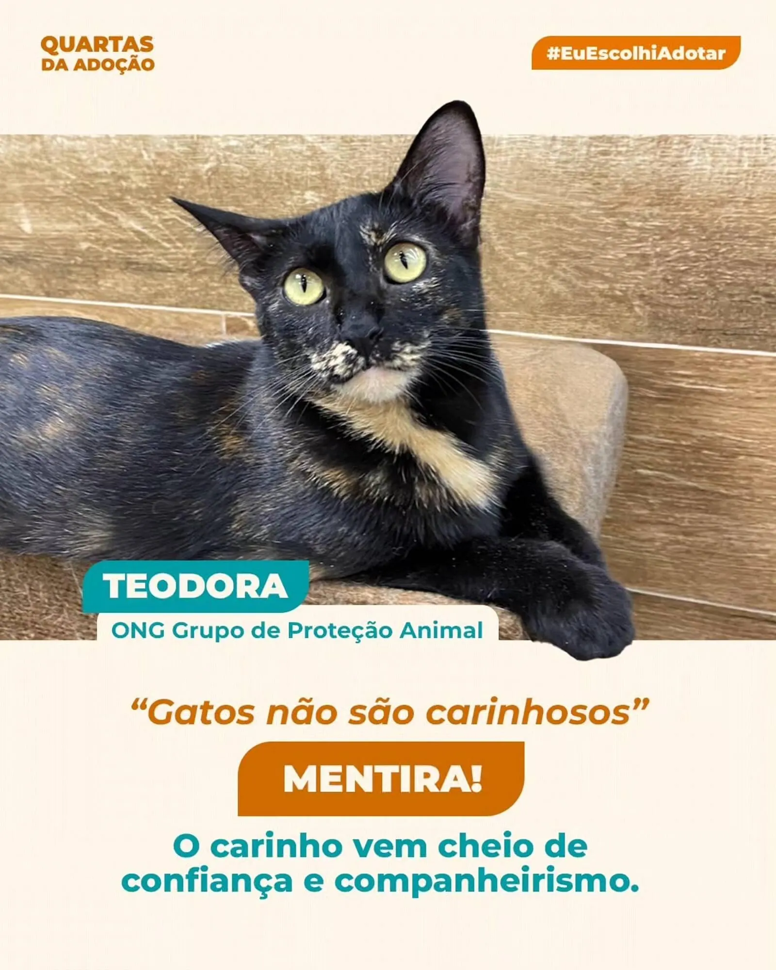 Encarte de Catálogo Cobasi 1 de abril até 10 de abril 2026 - Pagina 1