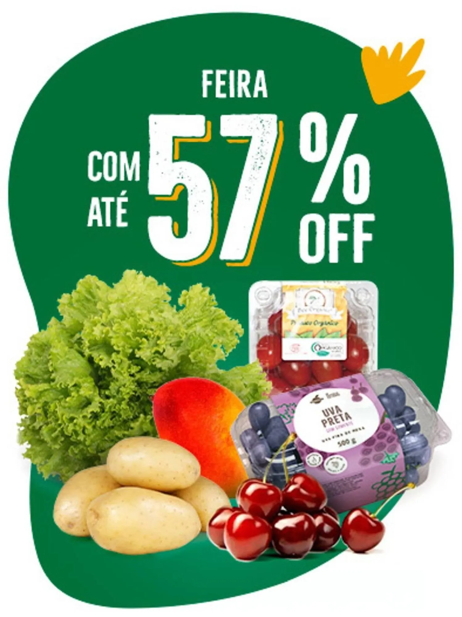 Encarte de Catálogo Natural da Terra 20 de janeiro até 24 de janeiro 2026 - Pagina 1