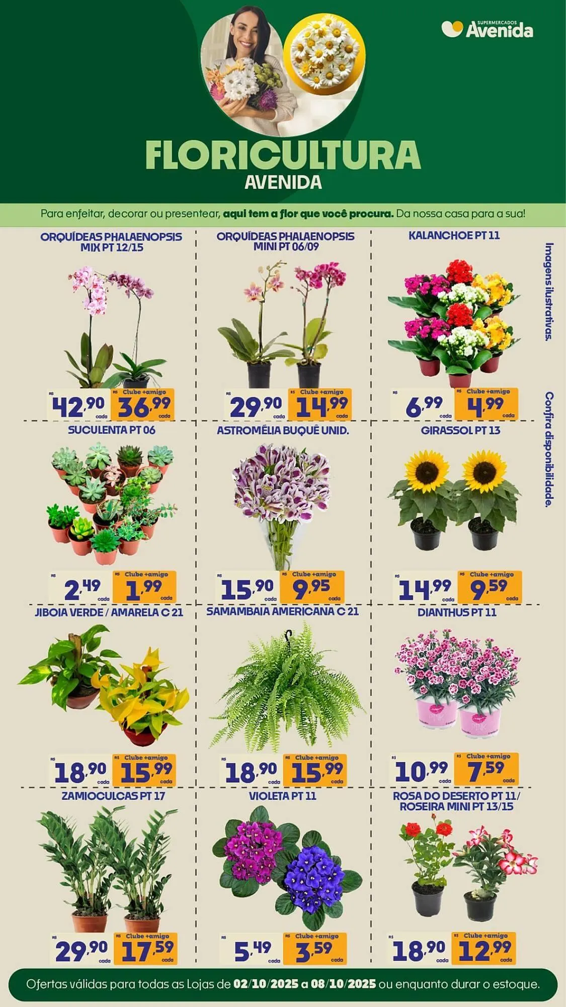 Encarte de Catálogo Supermercados Avenida 7 de outubro até 12 de outubro 2025 - Pagina 9