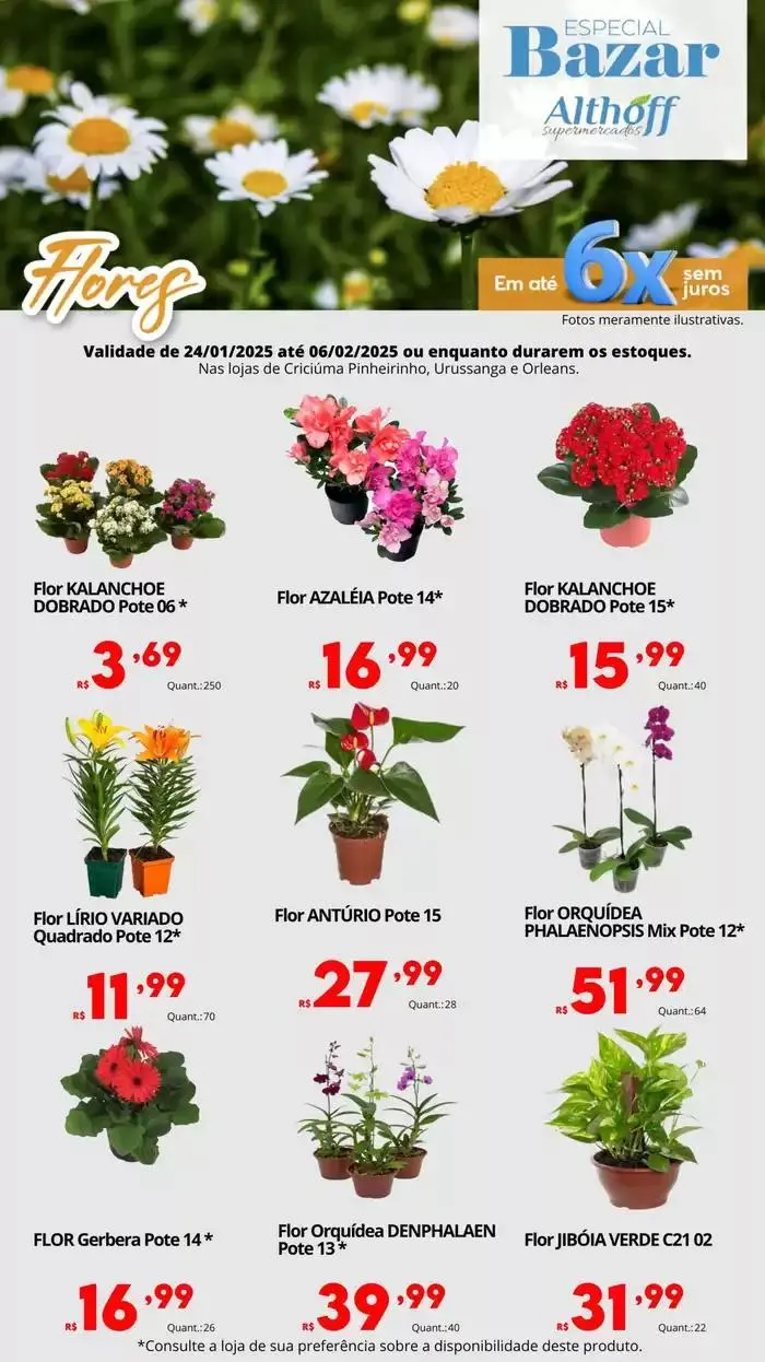 Encarte de Encarte Bazar - IN. 24 de janeiro até 6 de fevereiro 2025 - Pagina 12
