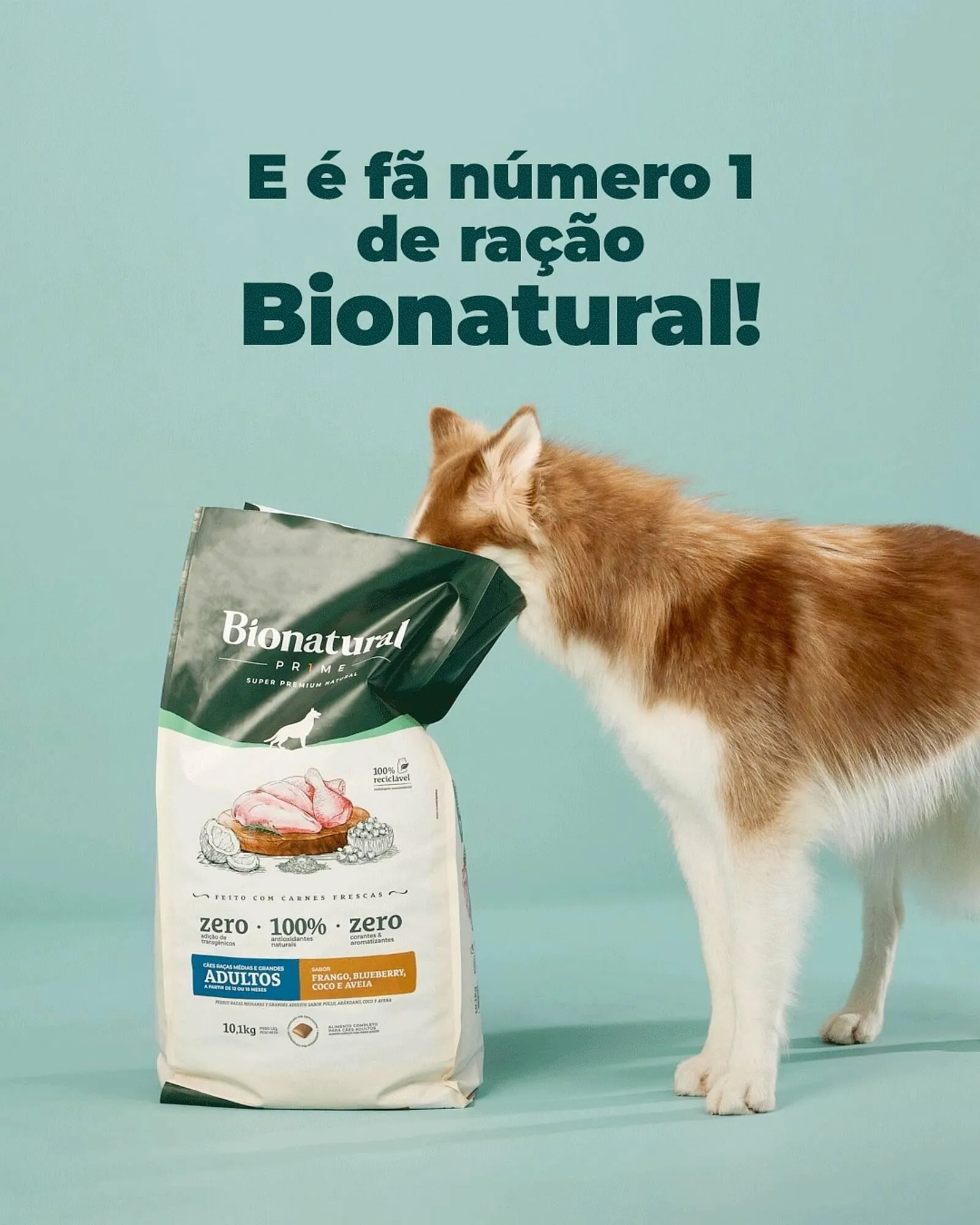 Encarte de Catálogo Cobasi 23 de março até 30 de março 2026 - Pagina 3