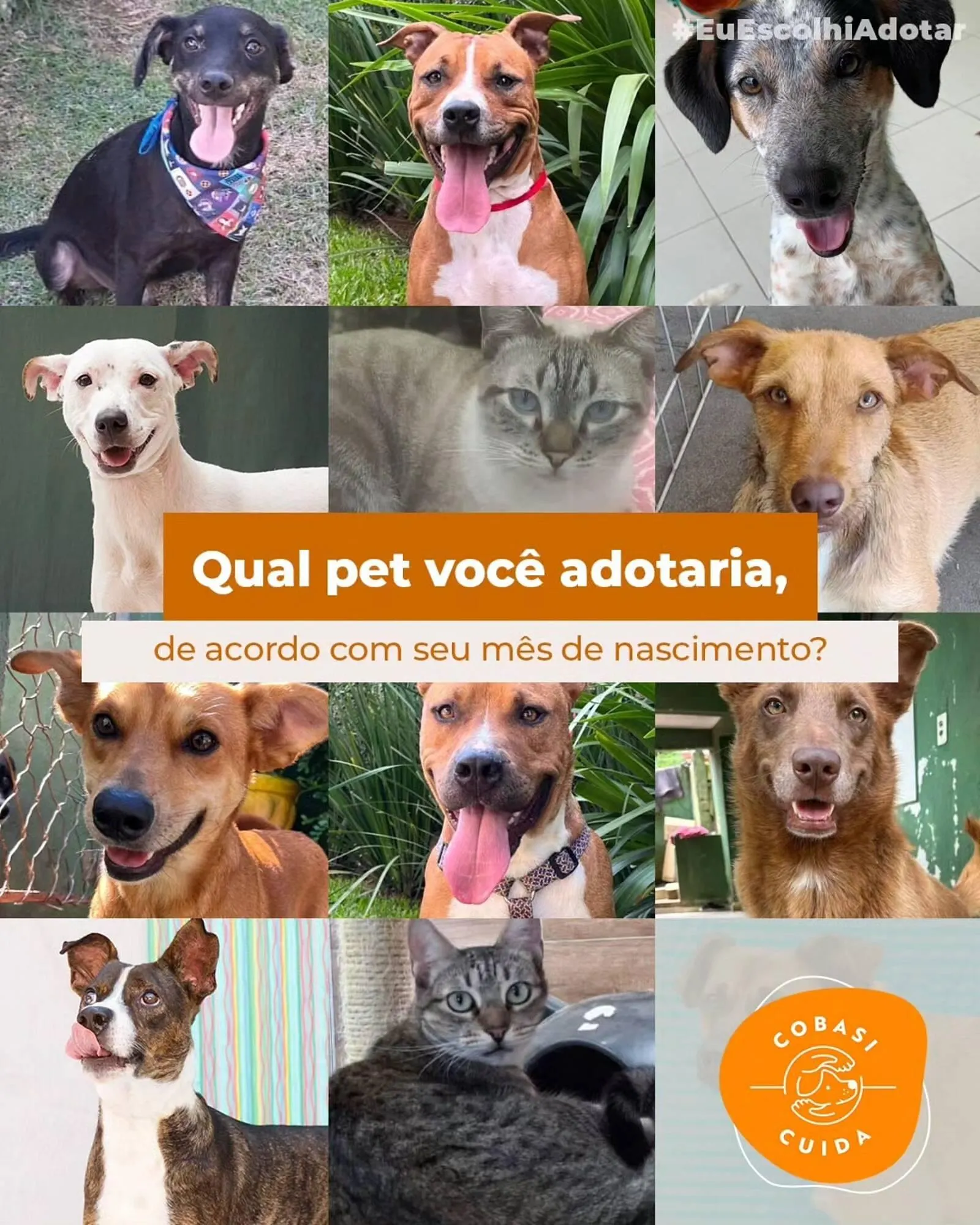 Encarte de Catálogo Cobasi 2 de julho até 10 de julho 2025 - Pagina 1