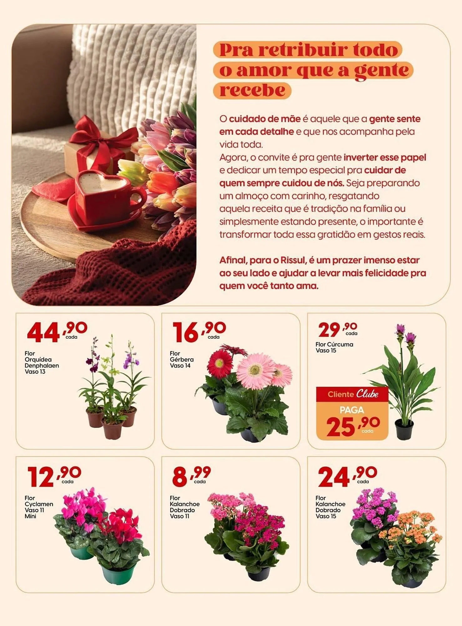 Encarte de Catálogo Supper Rissul 30 de abril até 9 de maio 2026 - Pagina 3