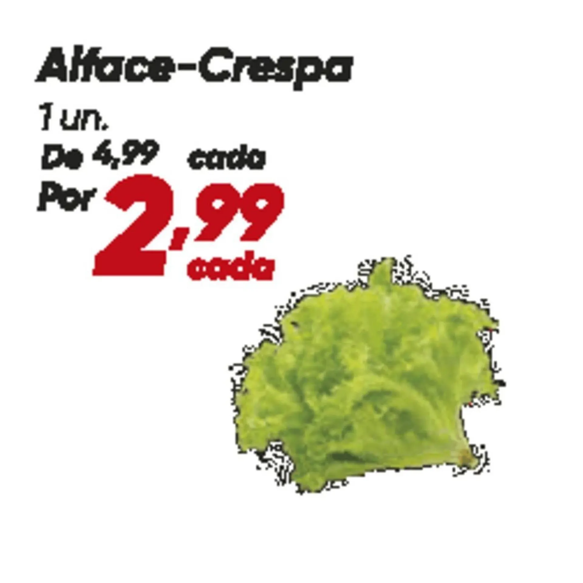 Encarte de Catálogo Dia 28 de julho até 31 de julho 2025 - Pagina 7