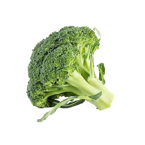 Brocolis Ninja Unidade