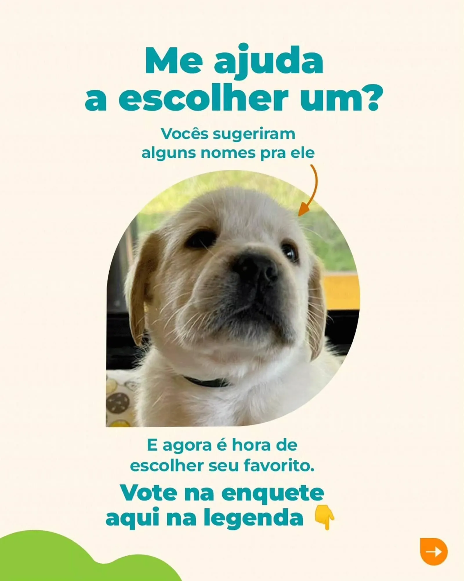 Encarte de Catálogo Cobasi 18 de março até 25 de março 2026 - Pagina 2