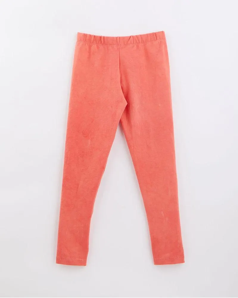 Legging Basico Cores