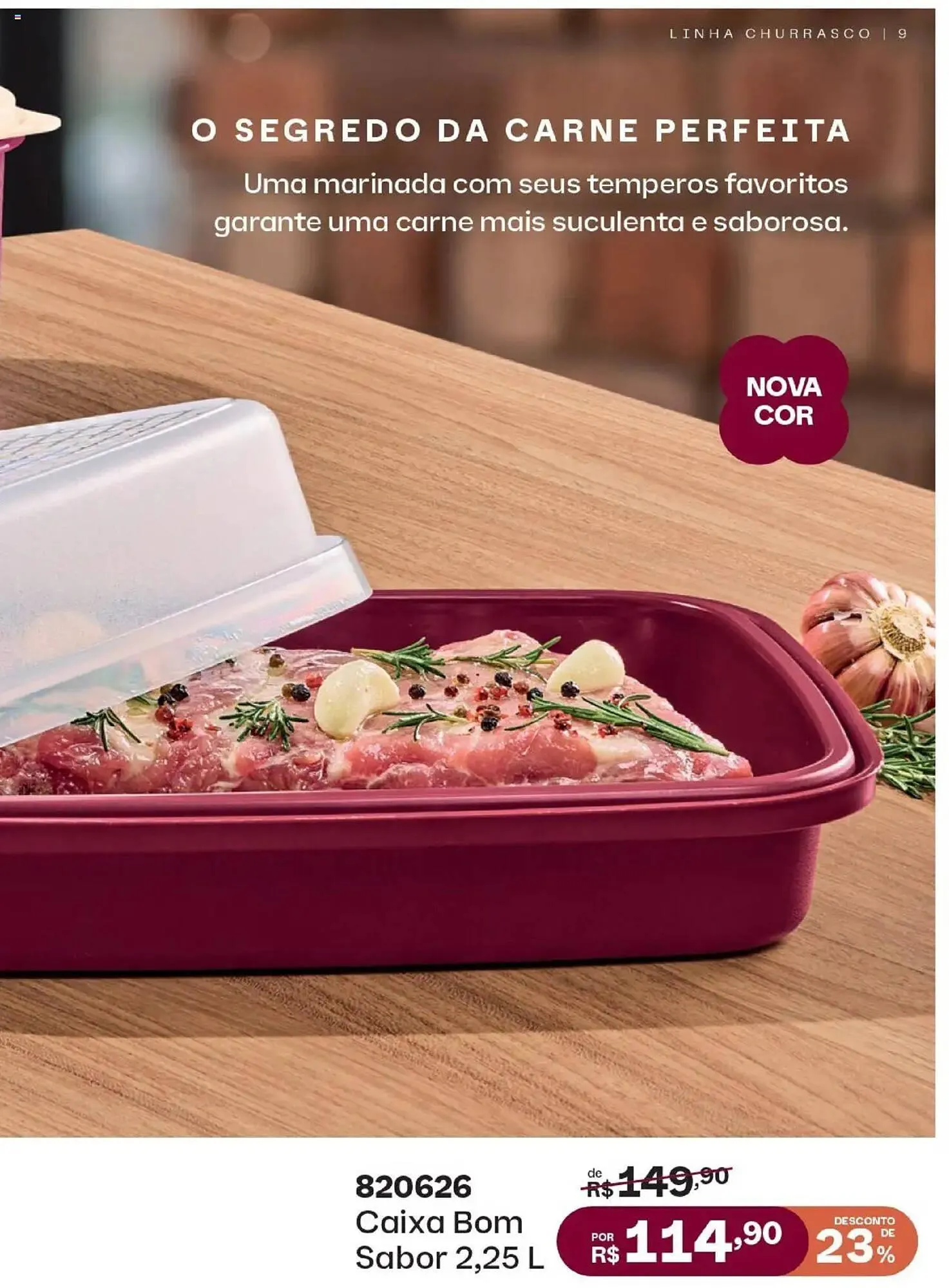 Encarte de Catálogo Tupperware 16 de junho até 14 de agosto 2025 - Pagina 9