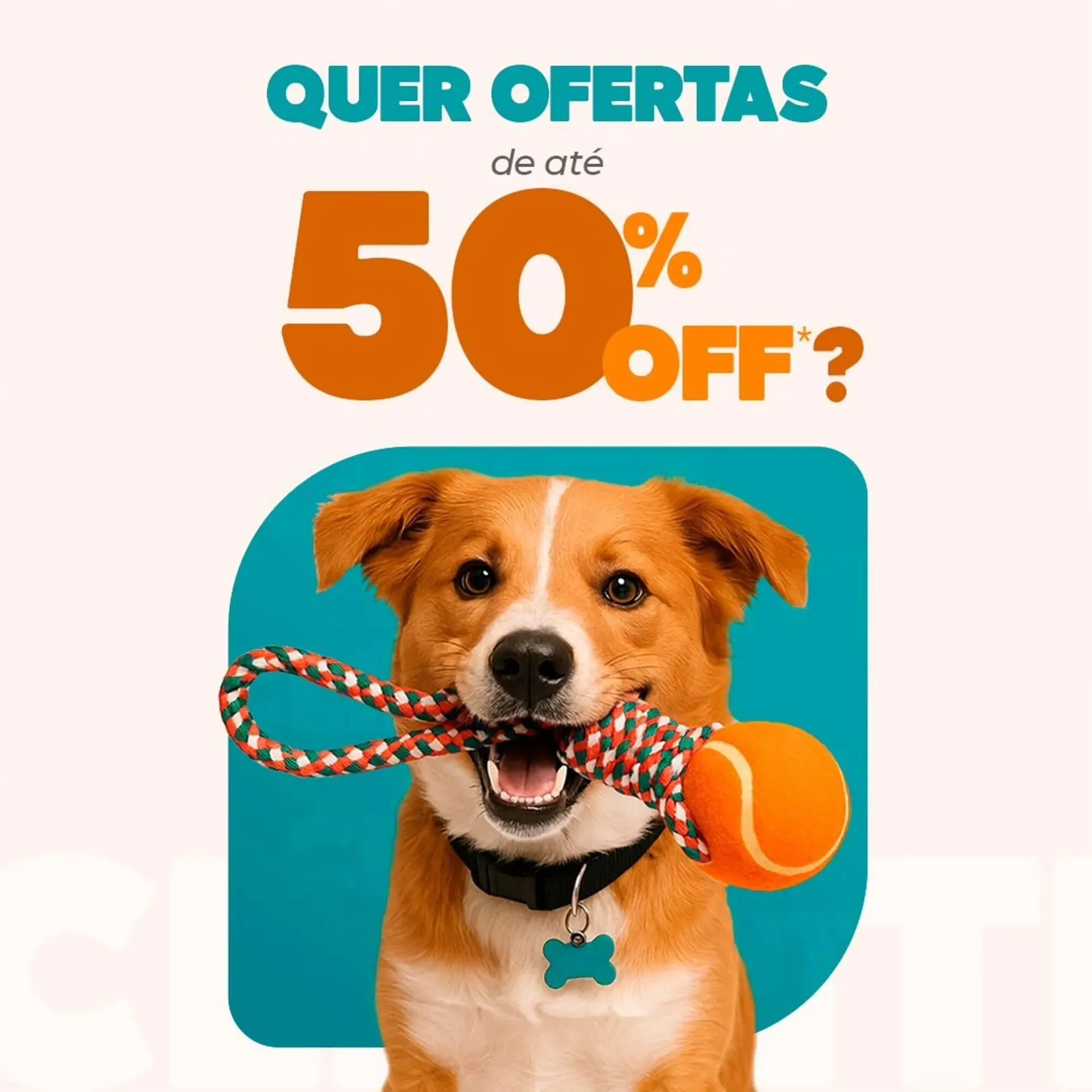 Catálogo Cobasi - 1