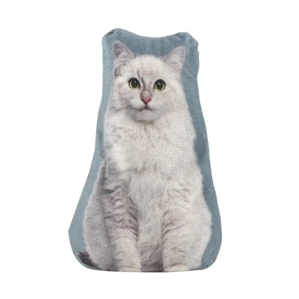 Peso De Porta Decorativo Pet Havan Casa - Gato Branco