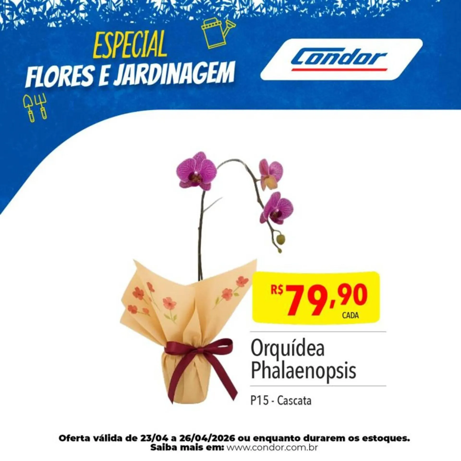 Encarte de Catálogo Supermercados Condor 23 de abril até 26 de abril 2026 - Pagina 24