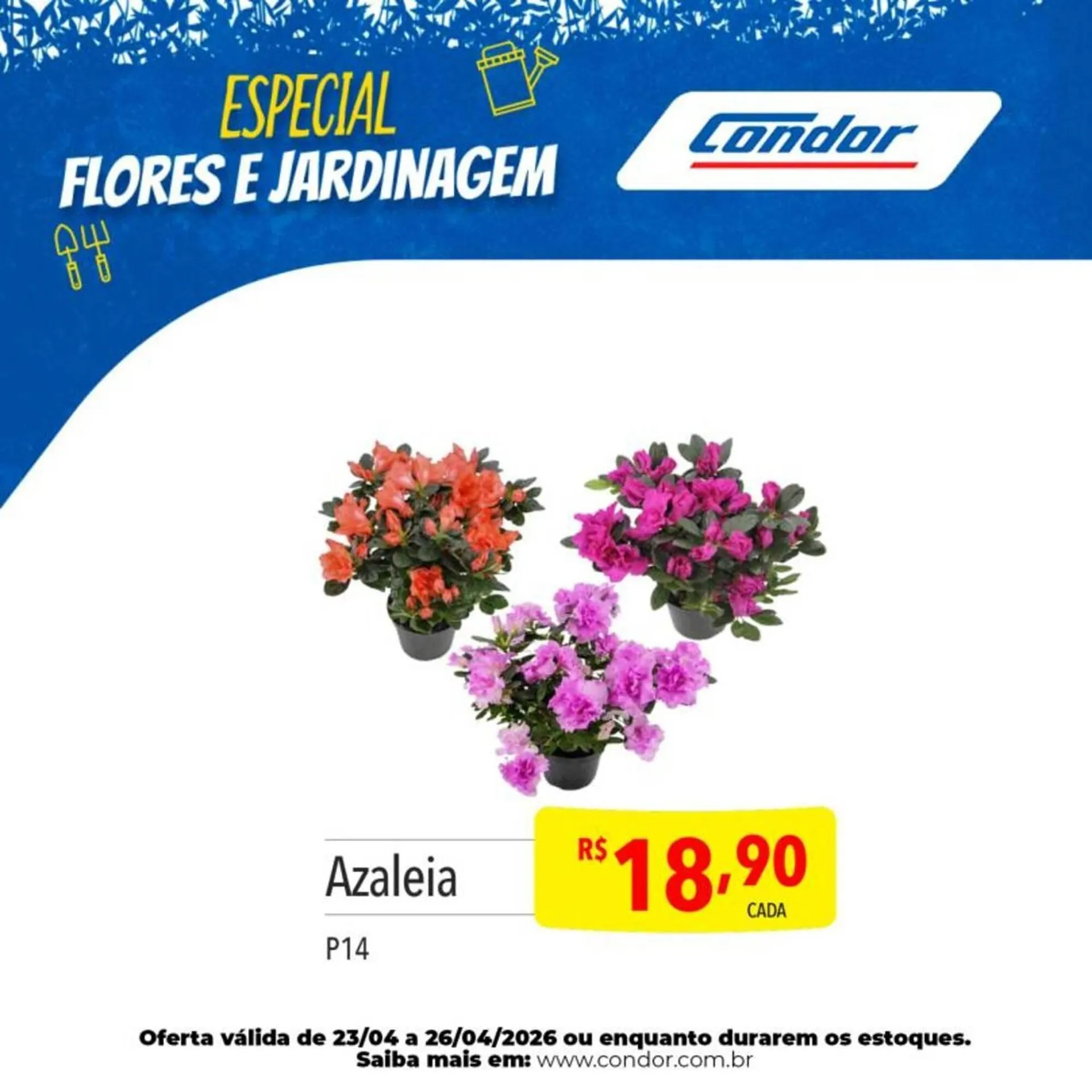 Encarte de Catálogo Supermercados Condor 23 de abril até 26 de abril 2026 - Pagina 19