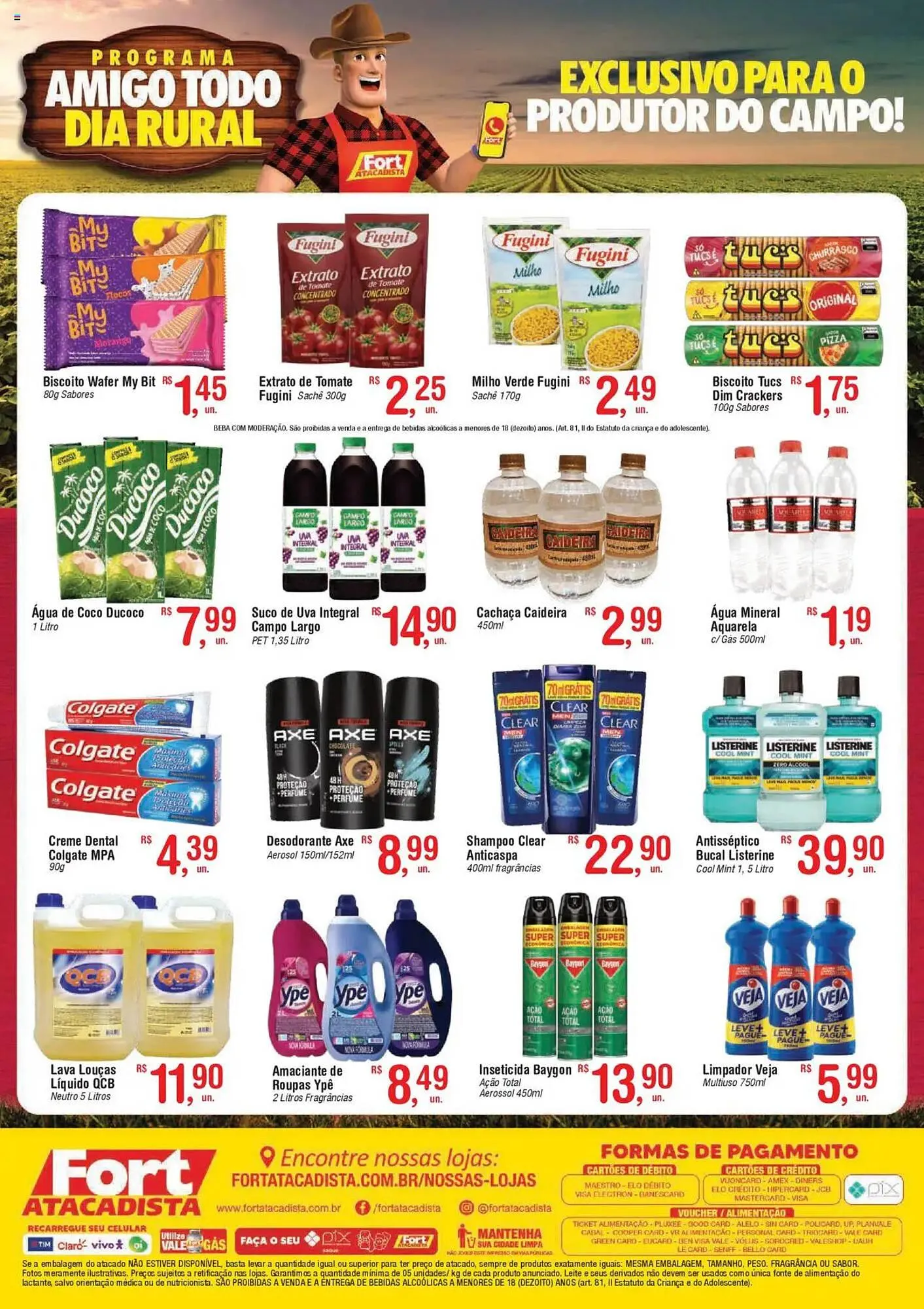 Encarte de Catálogo Fort Atacadista 18 de agosto até 1 de setembro 2025 - Pagina 2