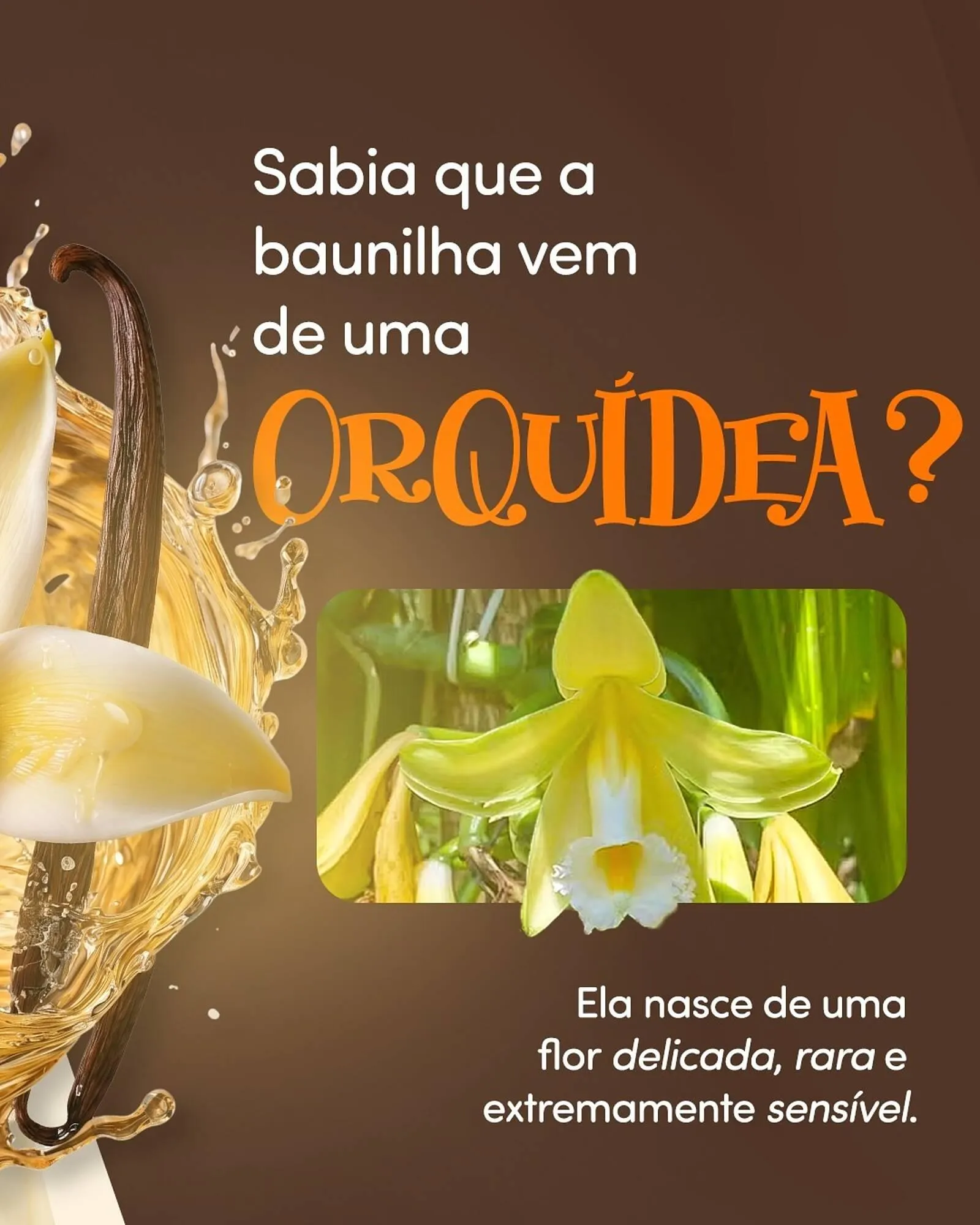 Encarte de Folheto Chocolândia 20 de abril até 25 de abril 2026 - Pagina 2