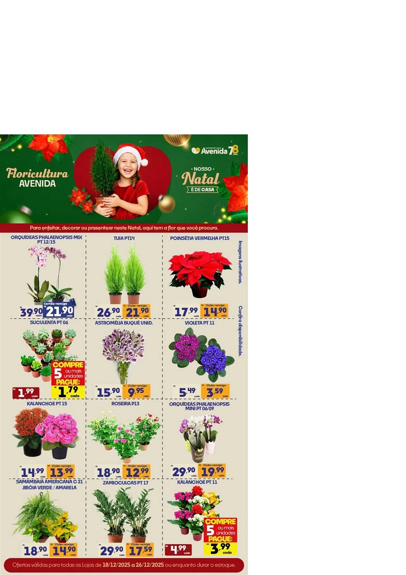 Encarte de Catálogo Supermercados Avenida 22 de dezembro até 24 de dezembro 2025 - Pagina 7