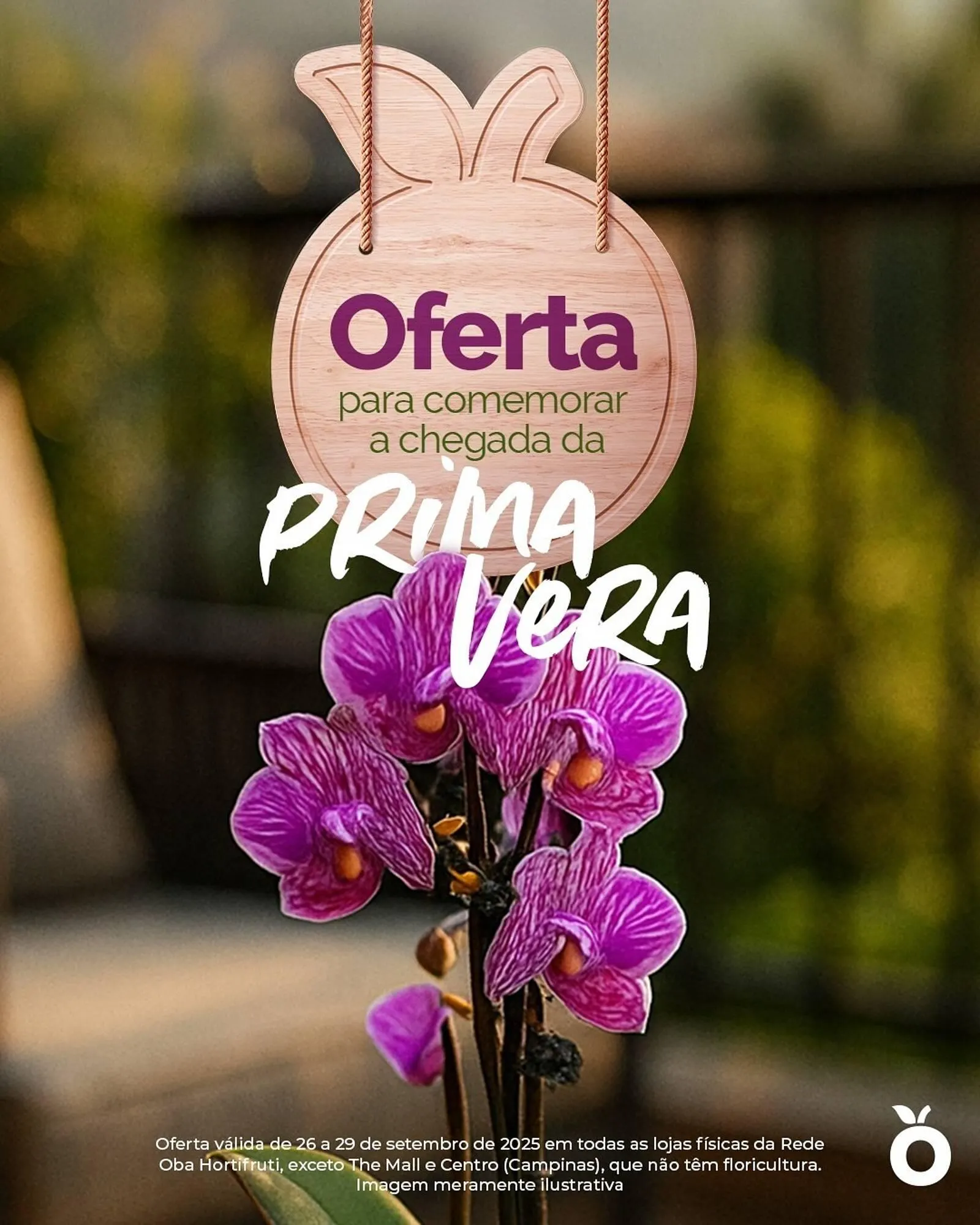 Folheto Oba Hortifruti - 1