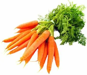 CENOURA KG (REF: 772)