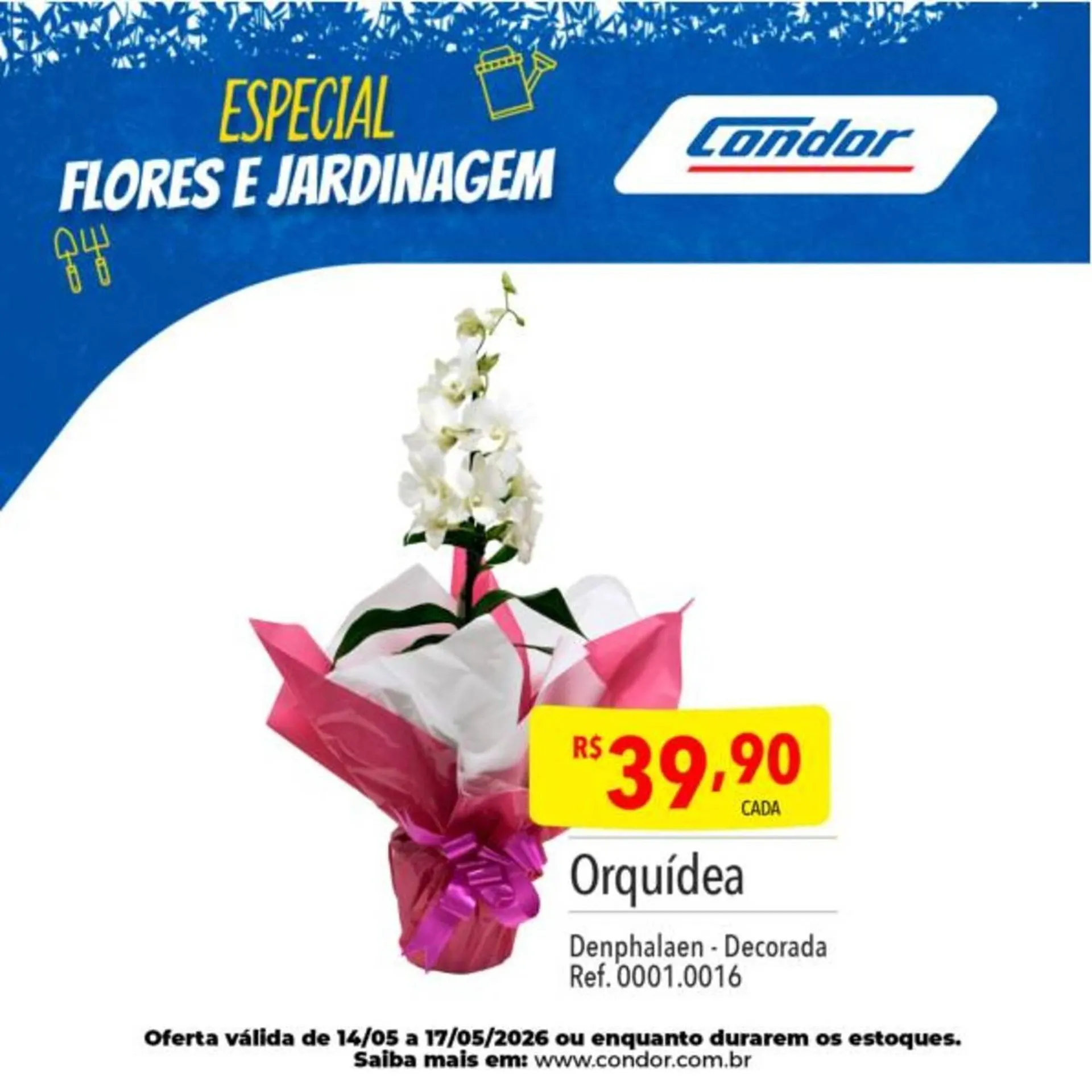 Encarte de Catálogo Supermercados Condor 12 de maio até 14 de maio 2026 - Pagina 24