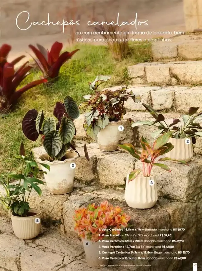 Encarte de Edição marchand Verão SP 2 de dezembro até 30 de março 2025 - Pagina 29