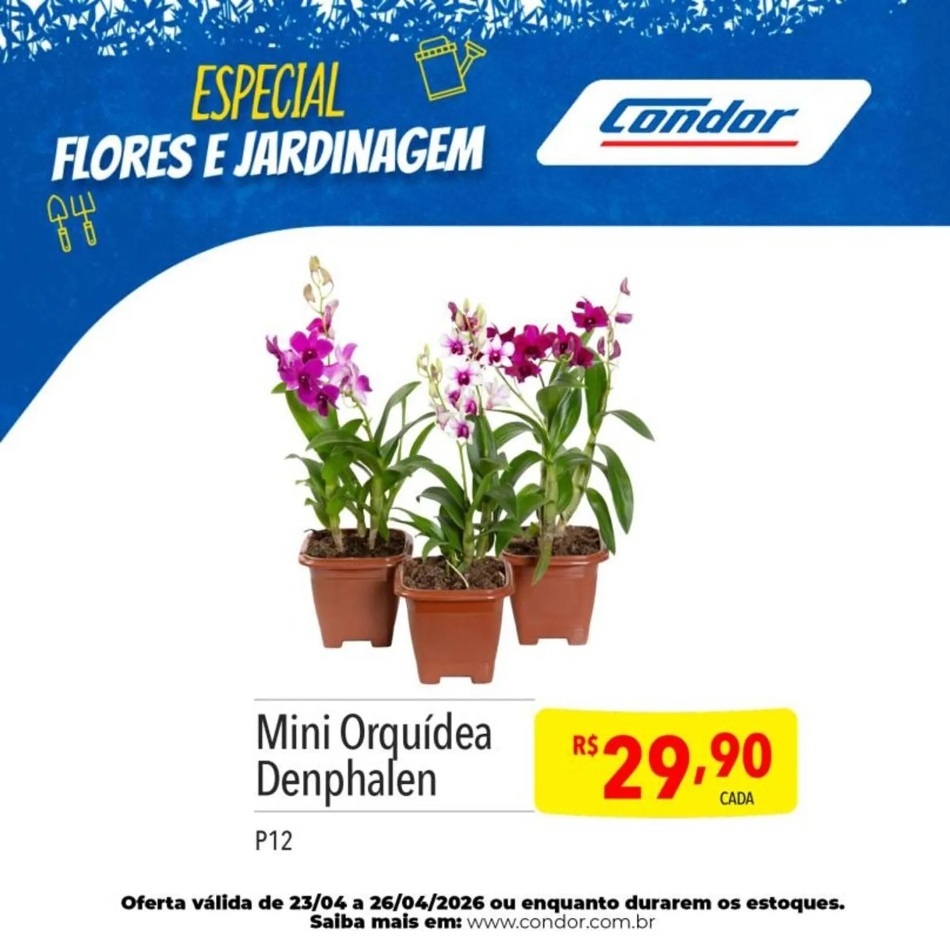 Encarte de Catálogo Supermercados Condor 23 de abril até 26 de abril 2026 - Pagina 21