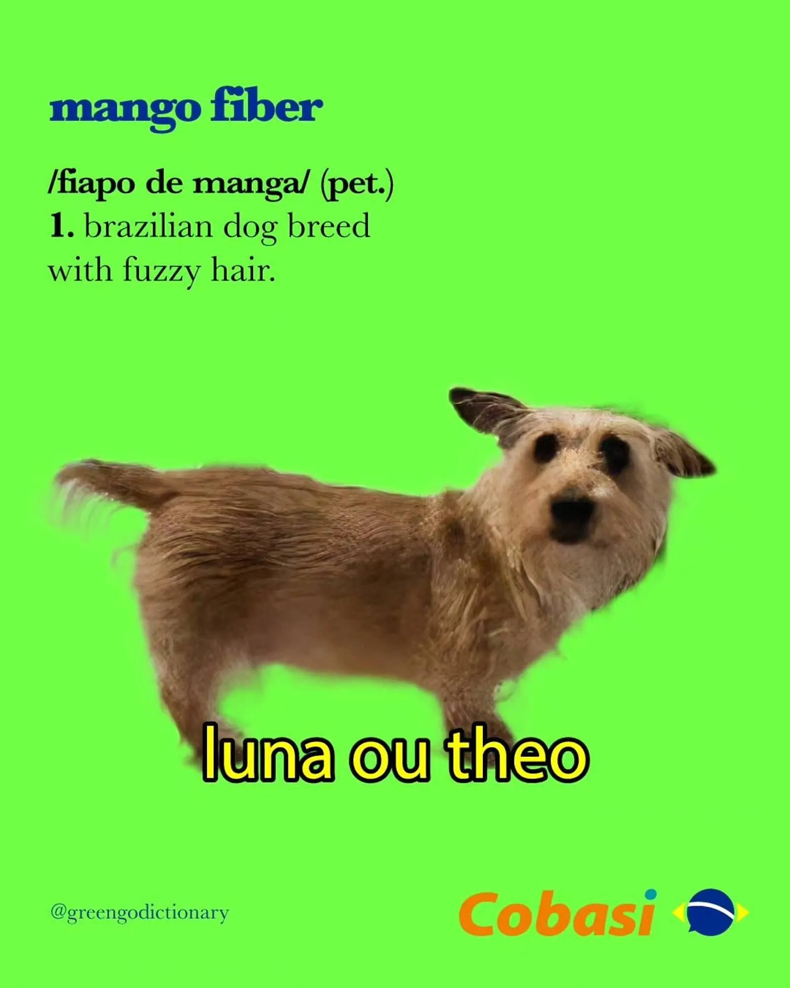 Encarte de Catálogo Cobasi 7 de agosto até 31 de agosto 2025 - Pagina 2