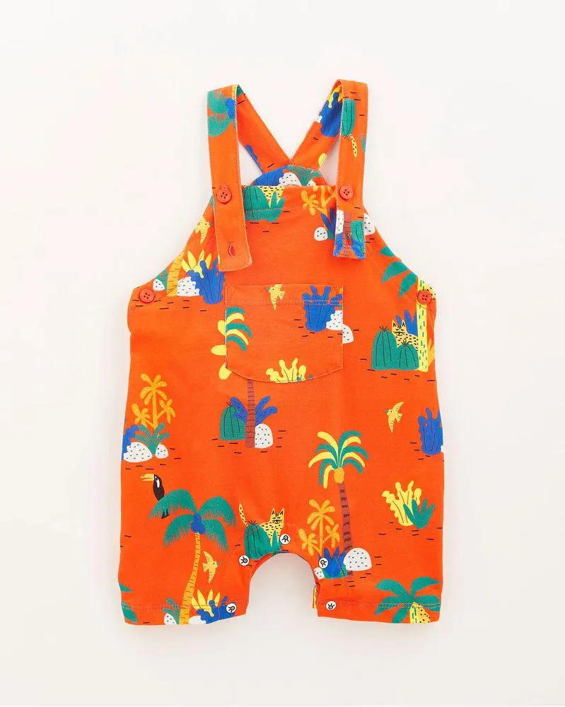 Jardineira Bebe Malha Bichinhos Da Noite