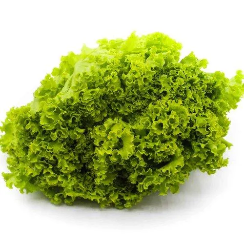 Alface Crespa Unidade