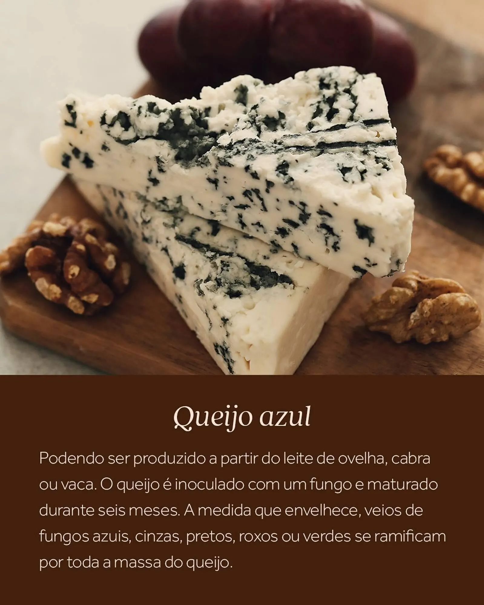 Encarte de Catálogo Festval 3 de agosto até 9 de agosto 2025 - Pagina 4