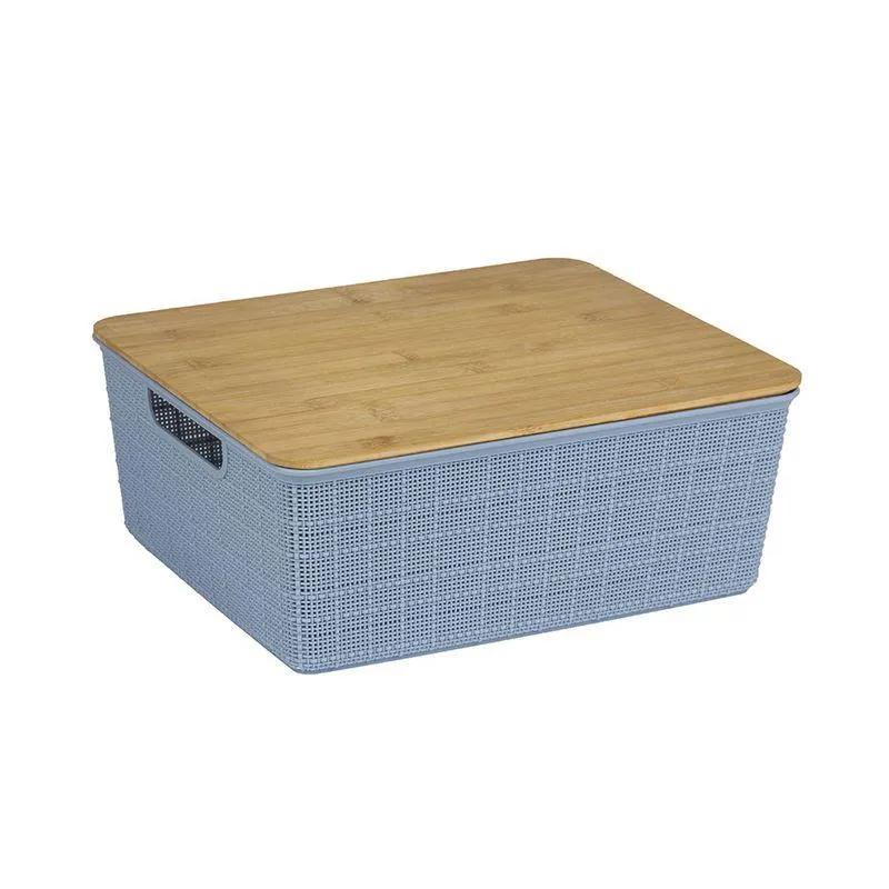 Caixa Organizadora com Tampa 12l Azul - Oikos