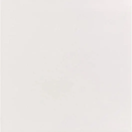 Porcelanato Elizabeth Bianco Natural Escovado 60x60cm Retificado