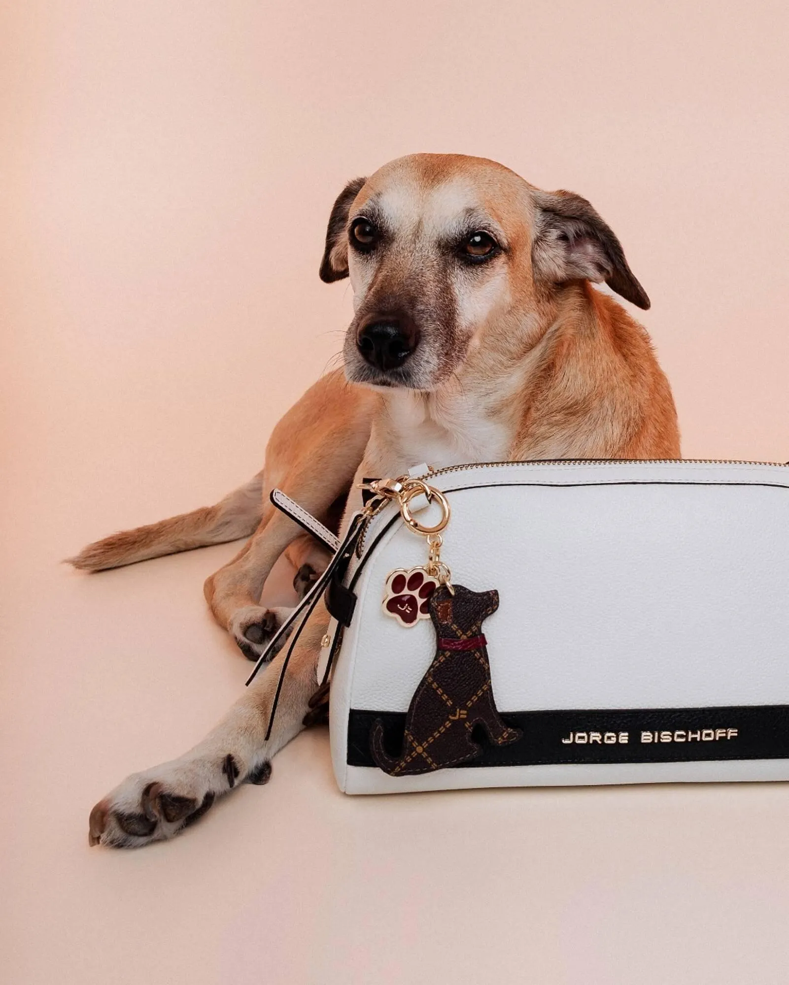 Encarte de Catálogo Jorge Bischoff 23 de abril até 30 de abril 2026 - Pagina 3