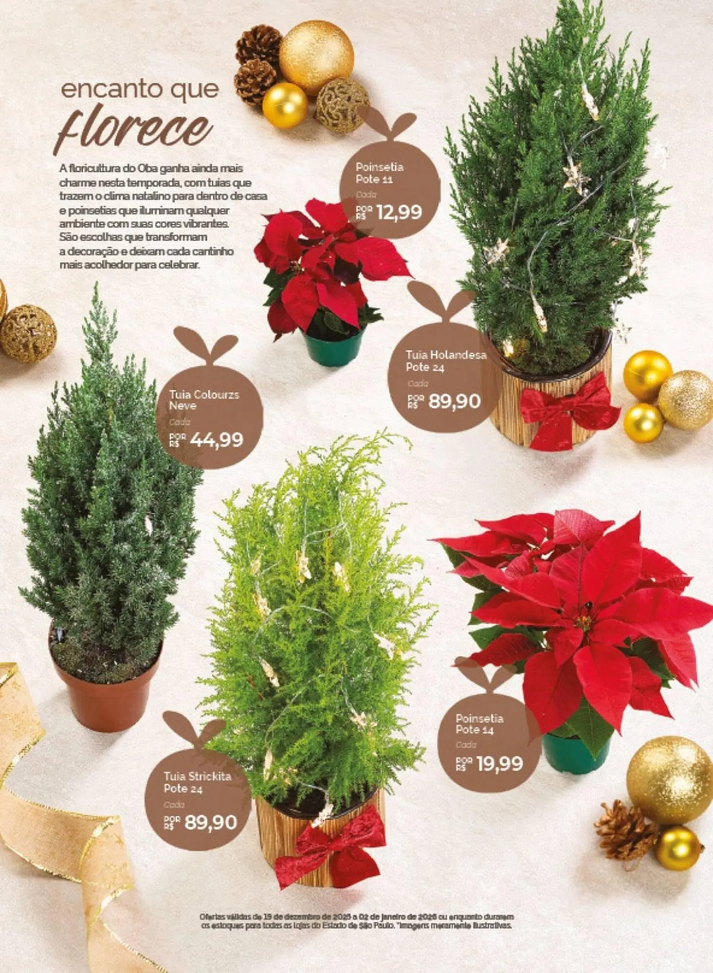Encarte de Folheto Oba Hortifruti 19 de dezembro até 2 de janeiro 2026 - Pagina 11