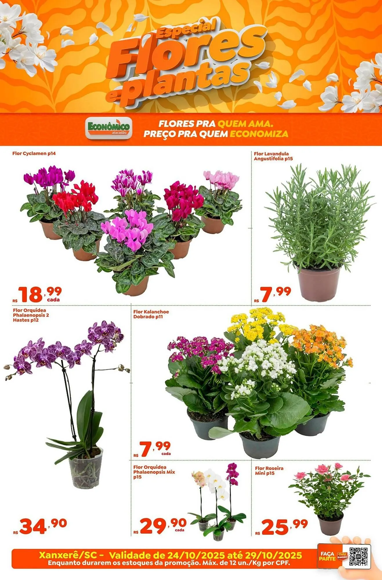 Encarte de Catálogo Econômico Atacadão 28 de outubro até 31 de outubro 2025 - Pagina 4