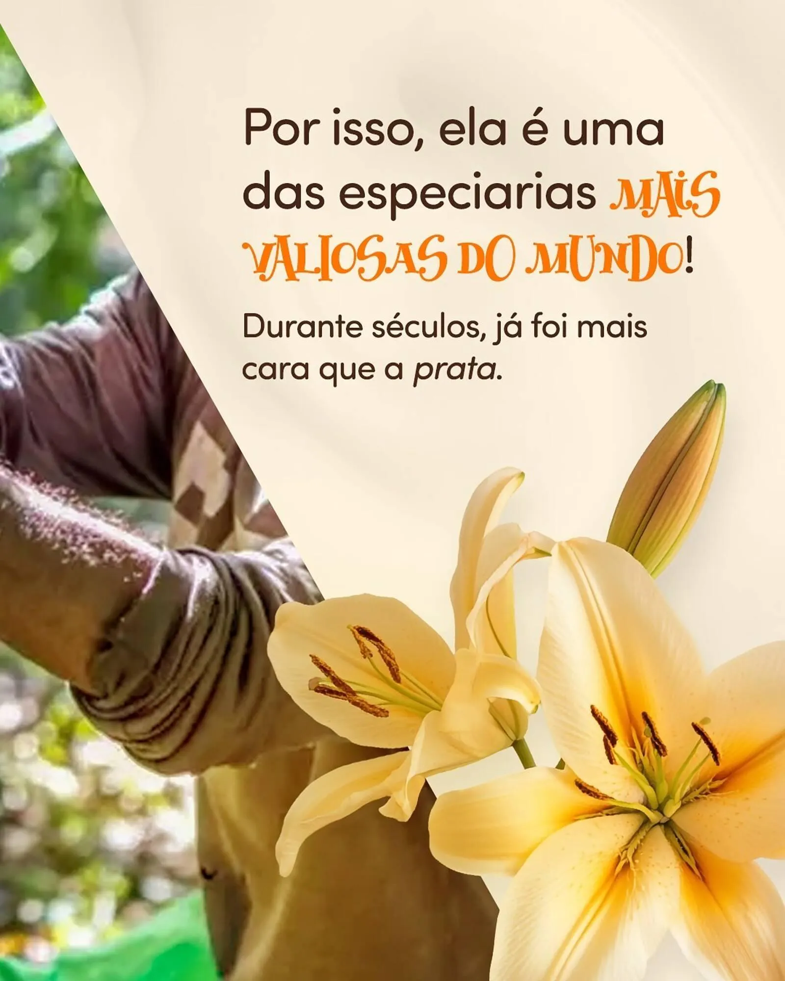 Encarte de Folheto Chocolândia 20 de abril até 25 de abril 2026 - Pagina 4