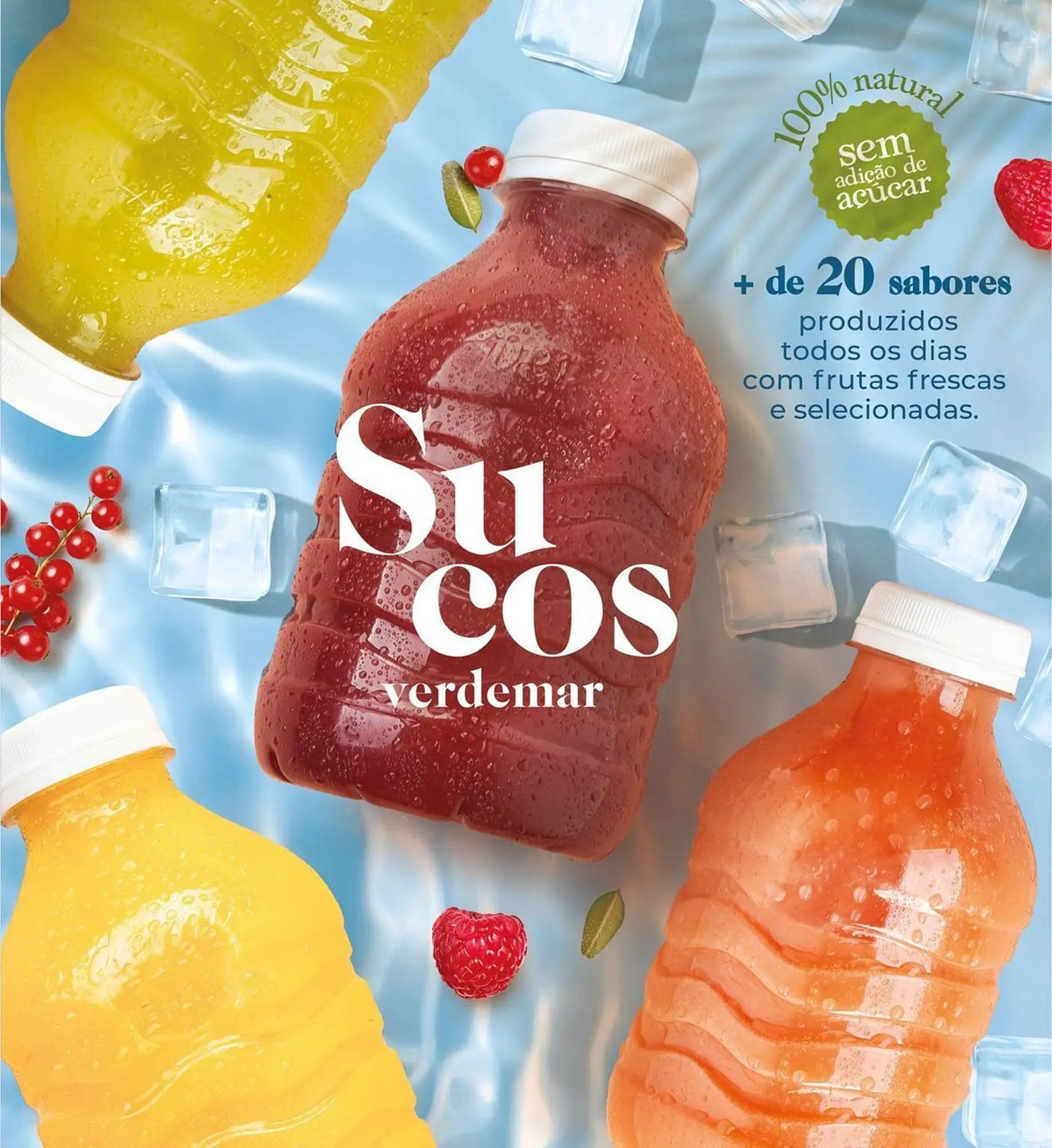 Encarte de Catálogo Verdemar Supermercado 4 de janeiro até 17 de janeiro 2024 - Pagina 15