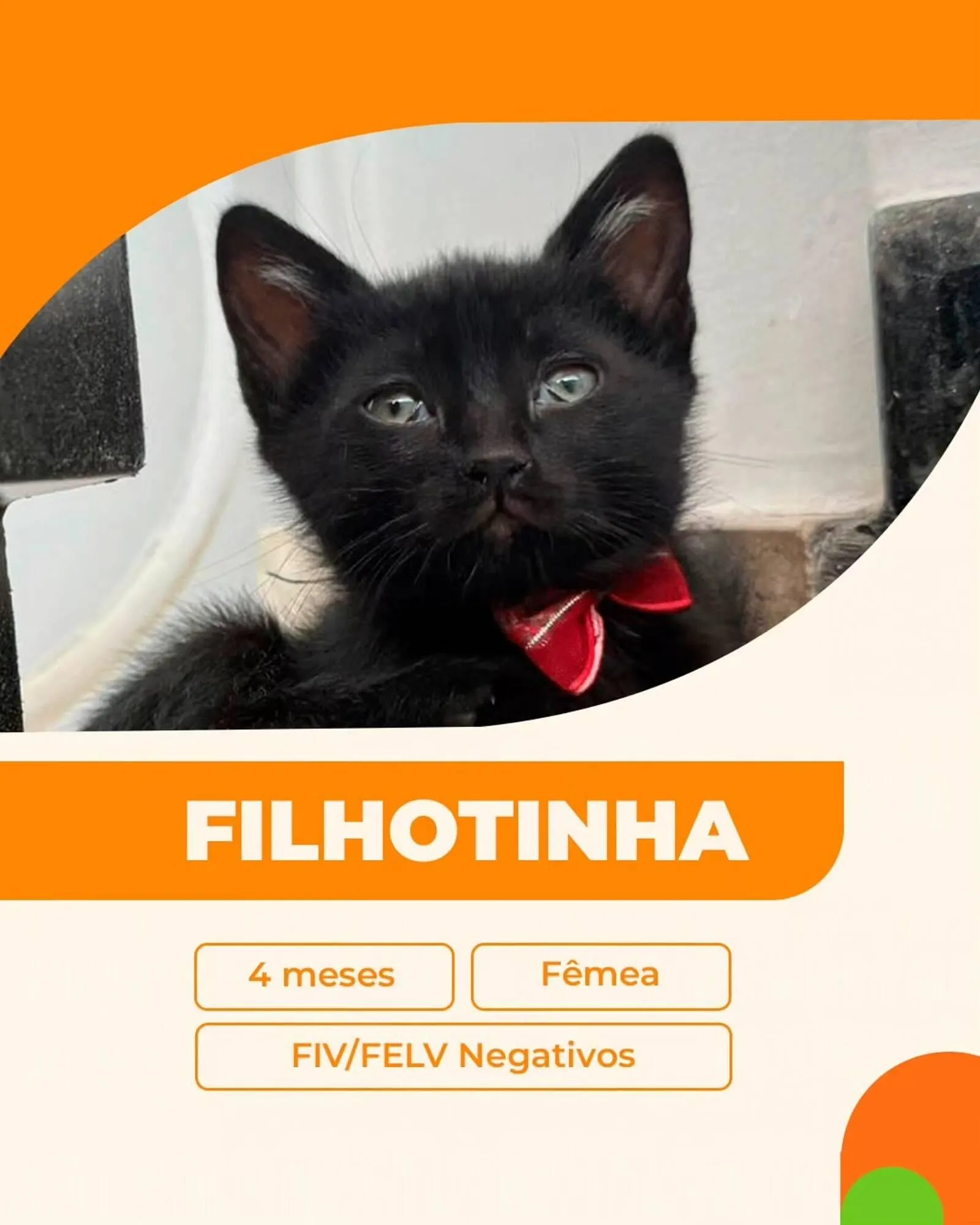 Encarte de Catálogo Cobasi 27 de outubro até 31 de outubro 2025 - Pagina 2