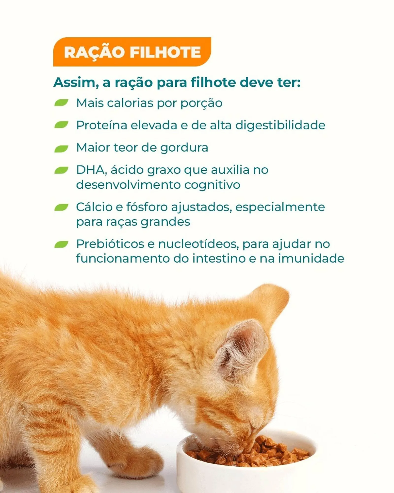 Encarte de Catálogo Cobasi 25 de fevereiro até 28 de fevereiro 2026 - Pagina 4