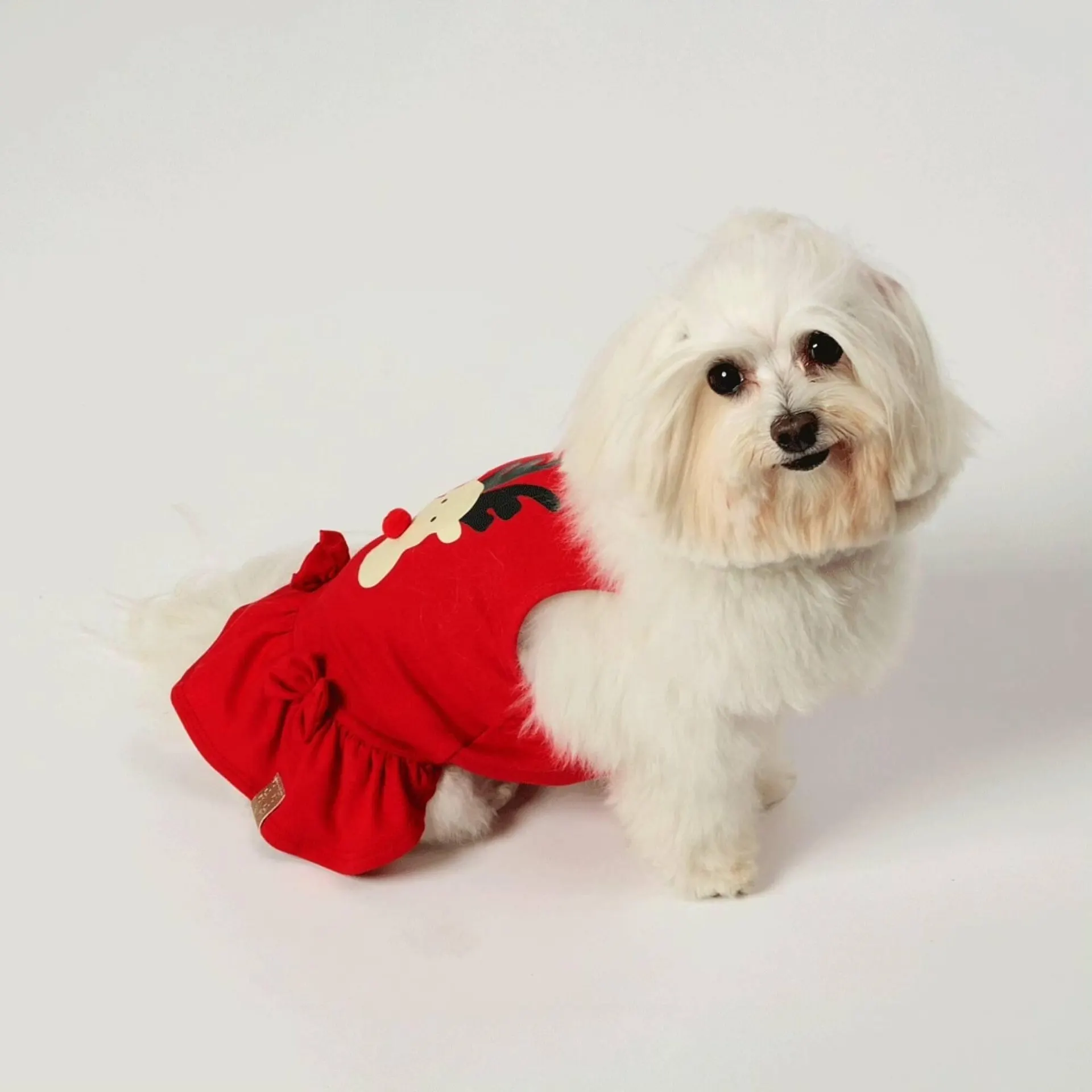 Encarte de Catálogo Cobasi 12 de dezembro até 18 de dezembro 2025 - Pagina 2