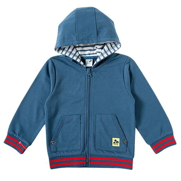 blusão manga longa com capuz moletom inverno porco espinho toddler