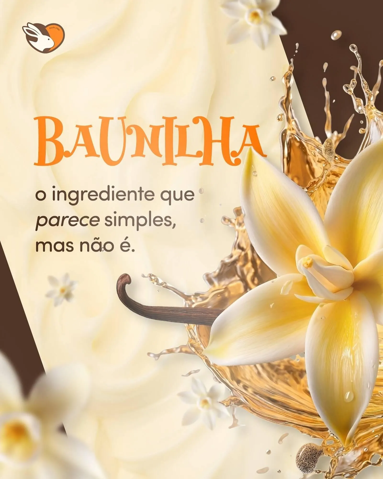 Encarte de Folheto Chocolândia 20 de abril até 25 de abril 2026 - Pagina 1