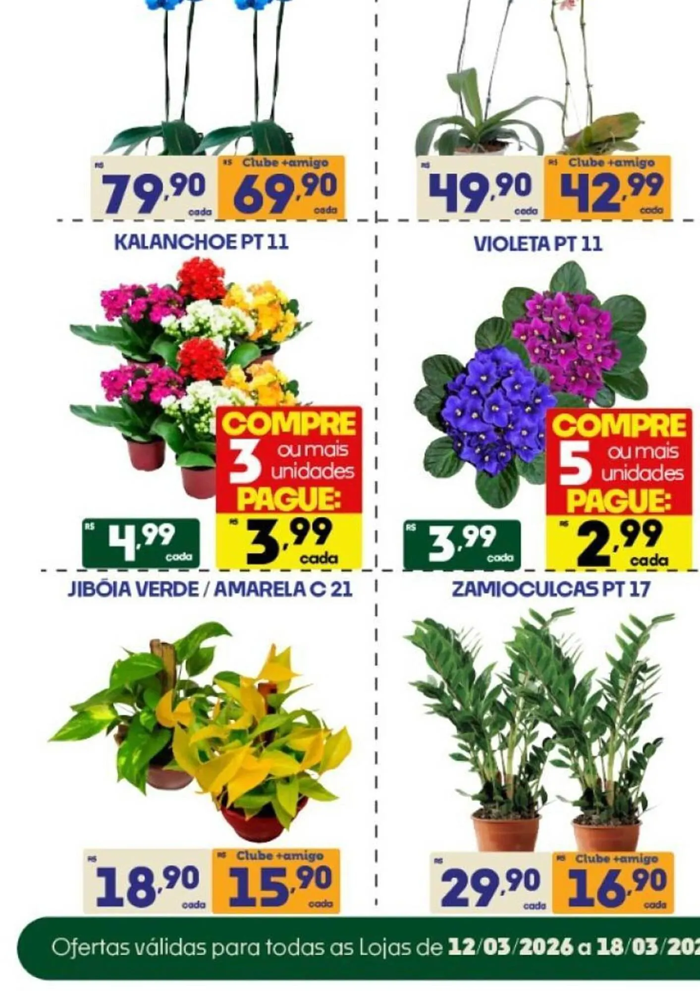 Encarte de Catálogo Supermercados Avenida 12 de março até 18 de março 2026 - Pagina 1