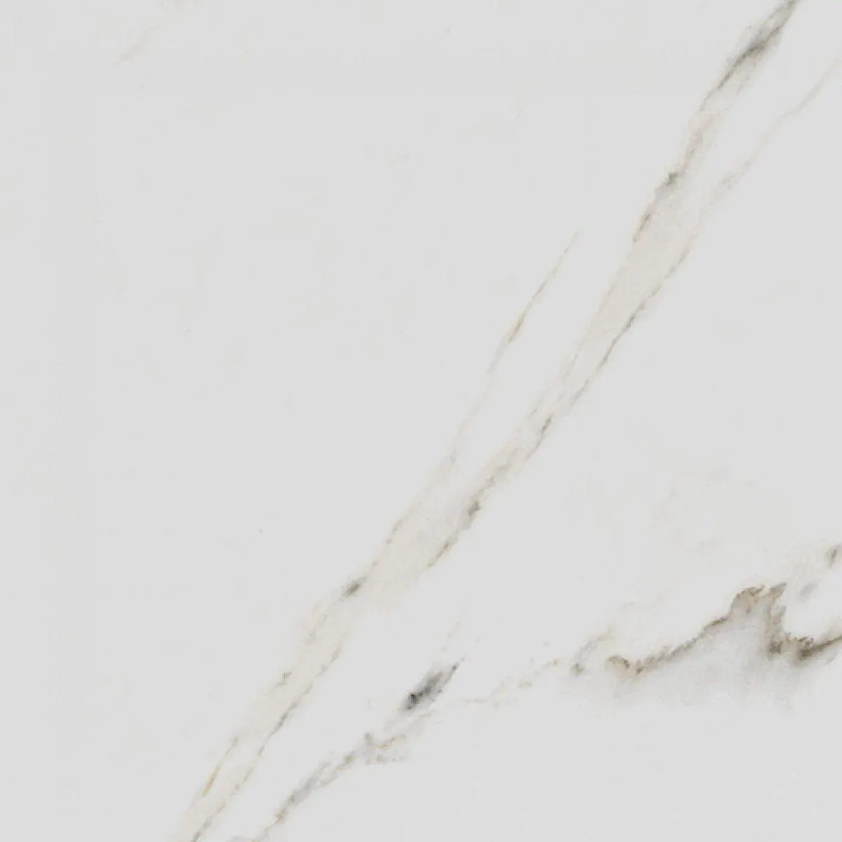 Porcelanato Carrara Gold Polido 71X71 Cx2,52M2 Savane