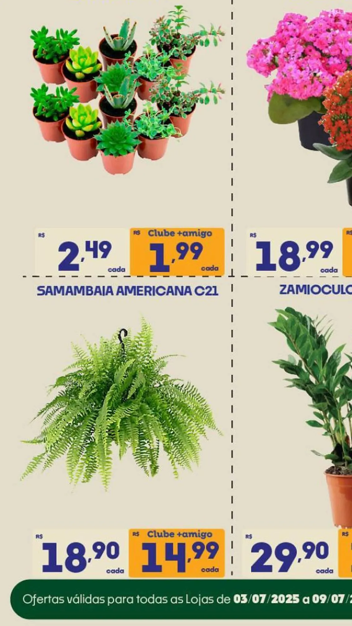 Encarte de Catálogo Supermercados Avenida 3 de julho até 6 de julho 2025 - Pagina 2