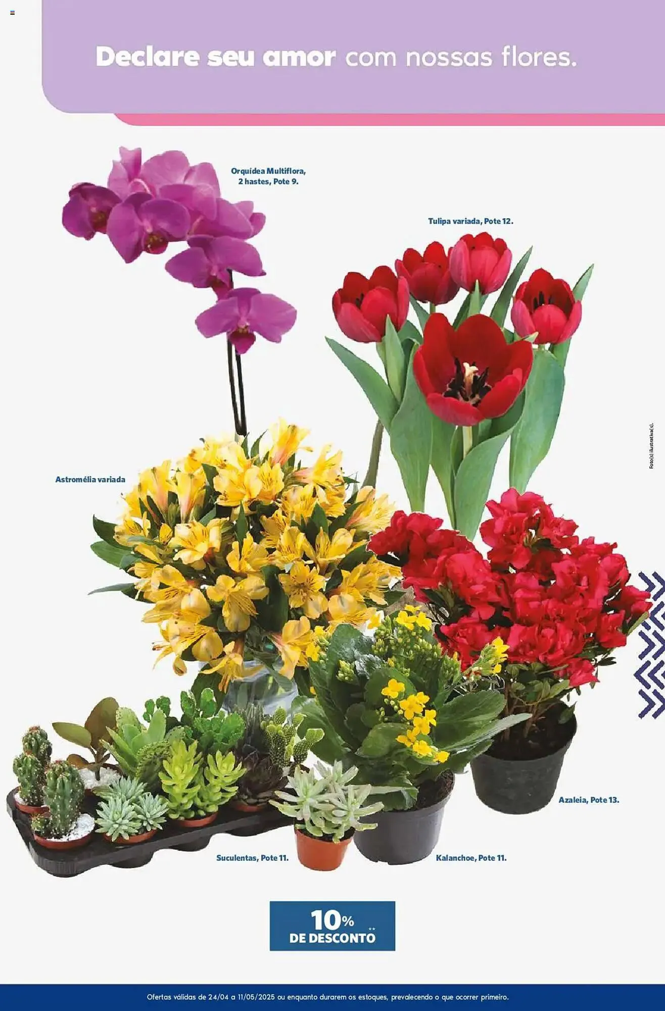 Encarte de Catálogo Sam's Club 24 de abril até 11 de maio 2025 - Pagina 4