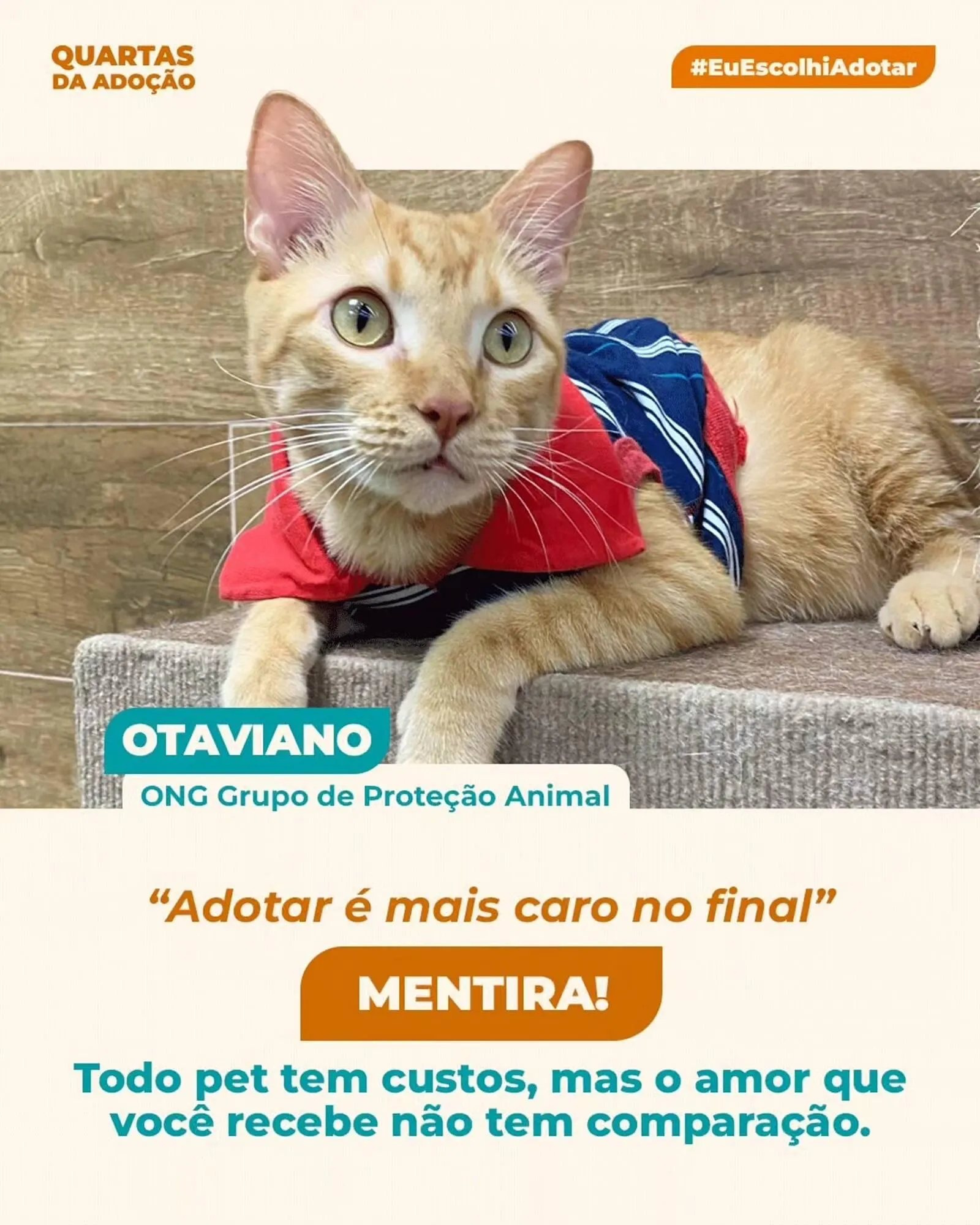 Encarte de Catálogo Cobasi 1 de abril até 10 de abril 2026 - Pagina 3