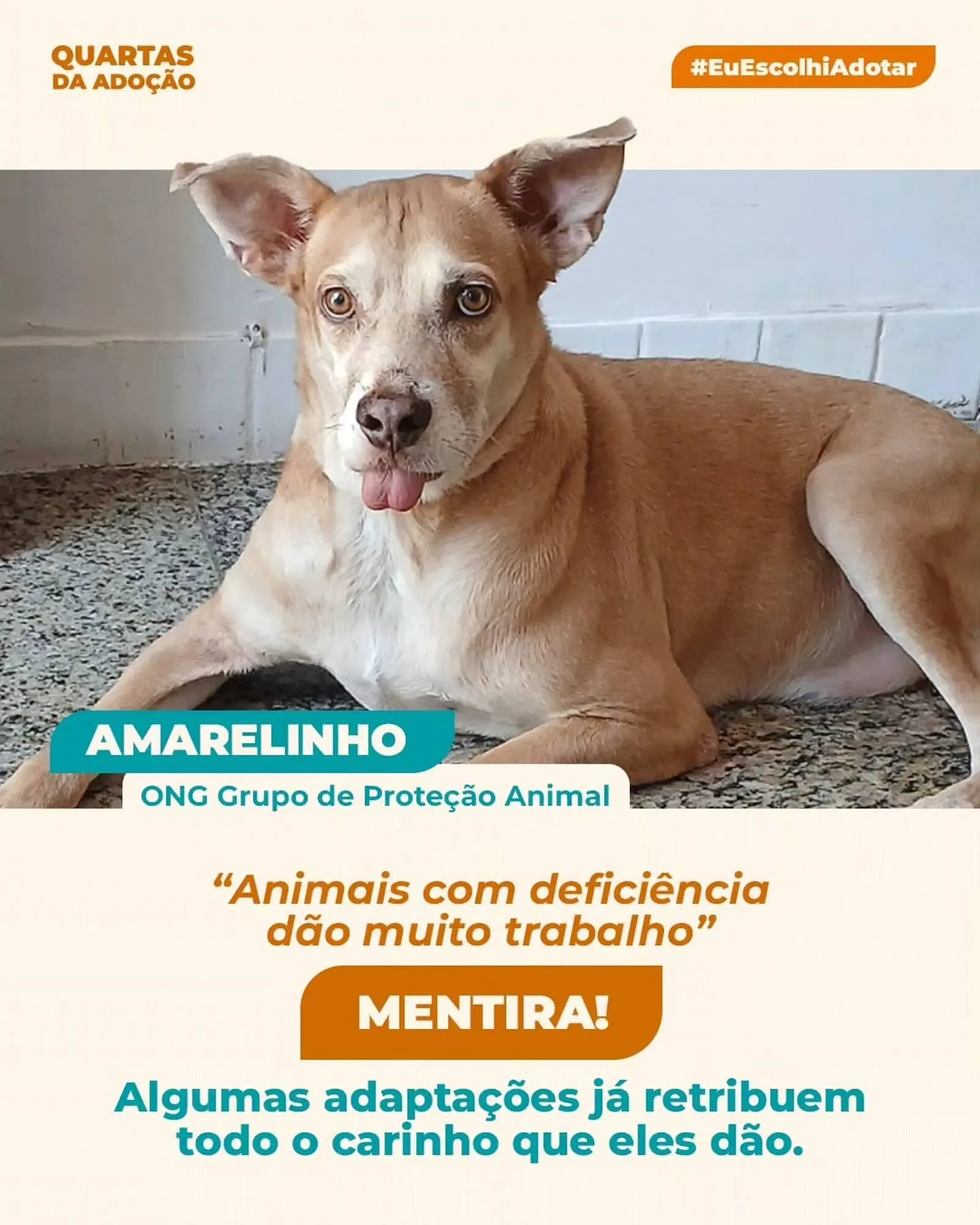 Encarte de Catálogo Cobasi 1 de abril até 10 de abril 2026 - Pagina 4