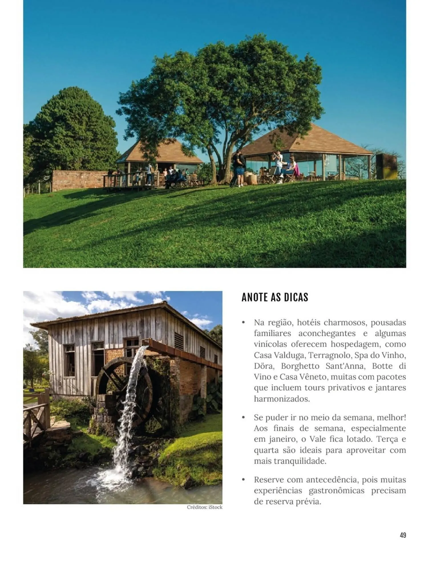 Encarte de Encarte Festval 18 de dezembro até 31 de dezembro 2025 - Pagina 49